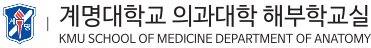 해부학교실